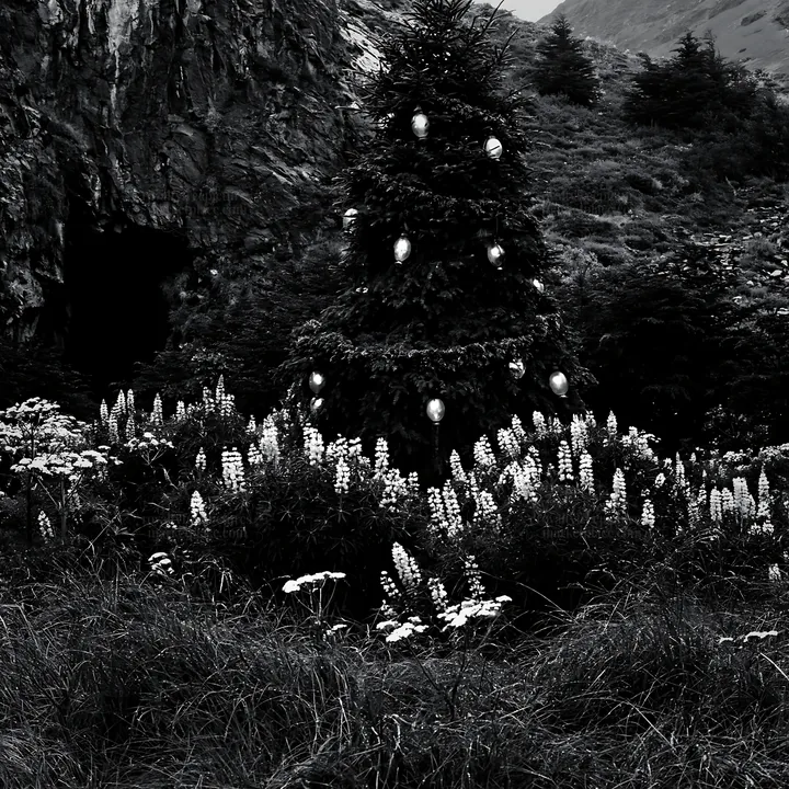 Christmas tree with lanterns in meadow by cave - AI-generated stock image