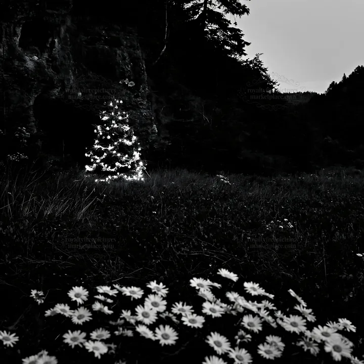 Christmas tree lights at dusk near a cave in a meadow - AI-generated stock image
