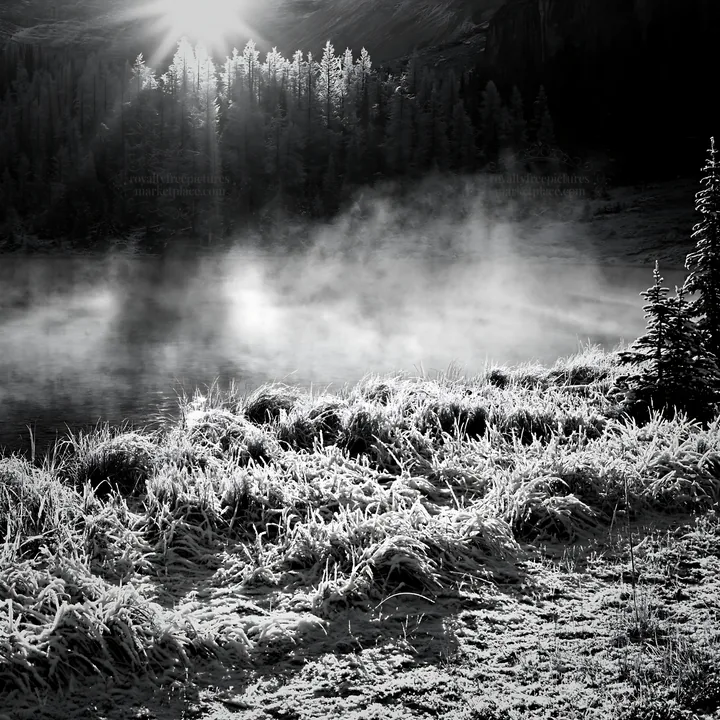 Black and white snowy lakeside meadow with sunlight and mist in the background - AI-generated stock image