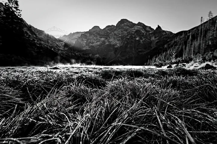 Meadow in rolling valley with mountains in the background - AI-generated stock image