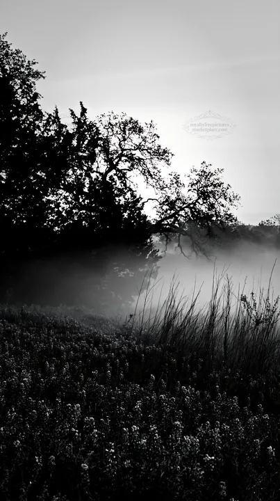 Bluebonnet meadow at sunrise with mist in the background - AI-generated stock image