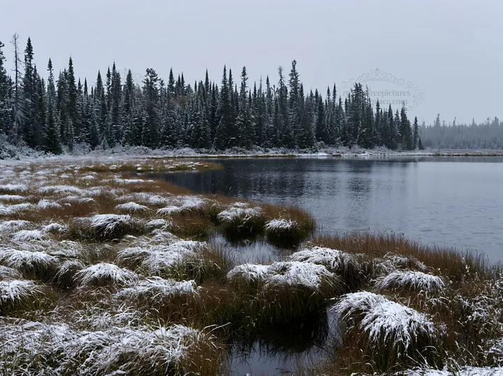 Lakeside meadow after first snowfall in winter landscape - AI-generated stock image