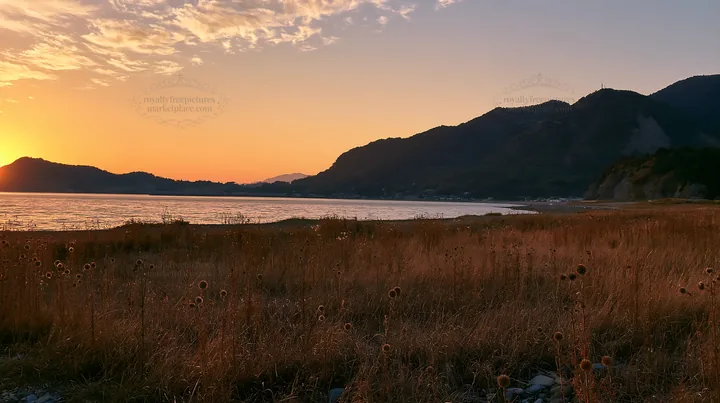 Ehime twilight meadow with dry seedheads at sunset - AI-generated stock image