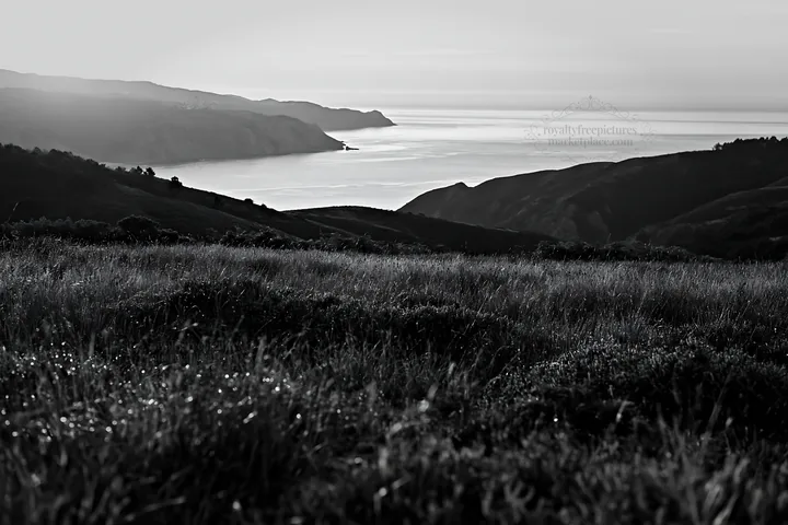 Meadow view above Atlantic coast in Portugal - AI-generated stock image