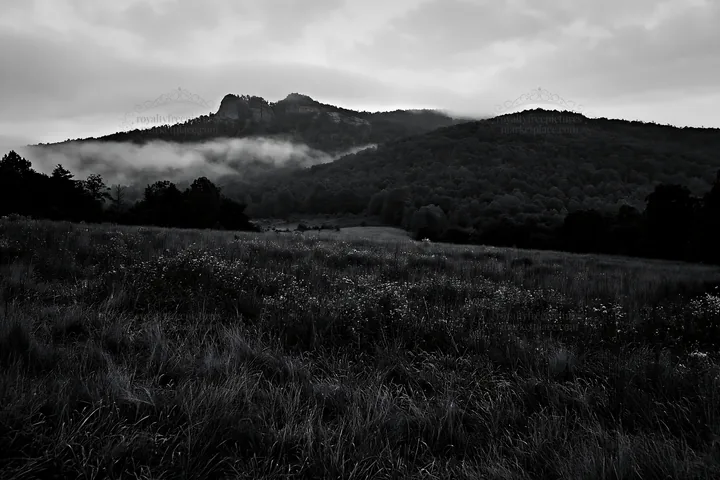 Dewy meadow with mountains in the background under cloudy skies - AI-generated stock image