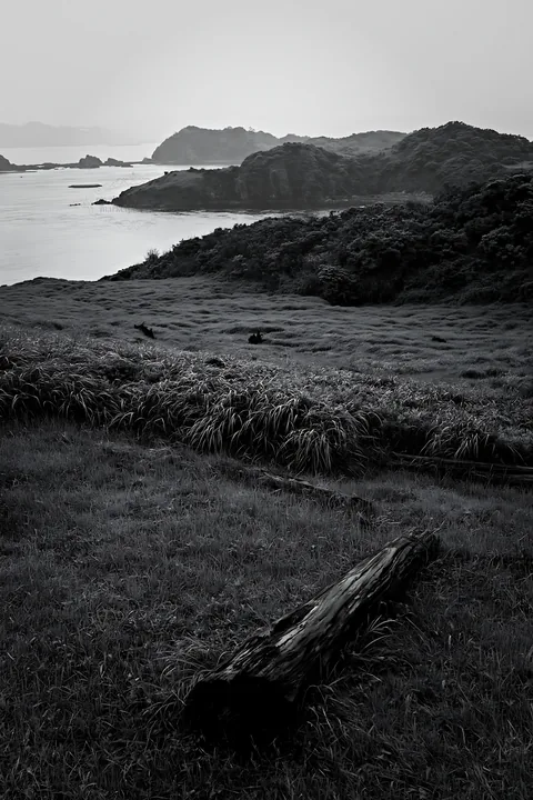 Black and white nagasaki coastal meadow driftwood foreground mood - AI-generated stock image