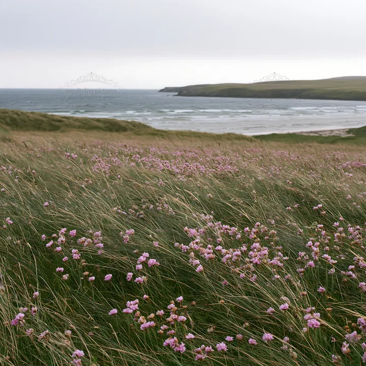 Meadow with flowers and ocean view during cloudy weather - AI-generated stock image