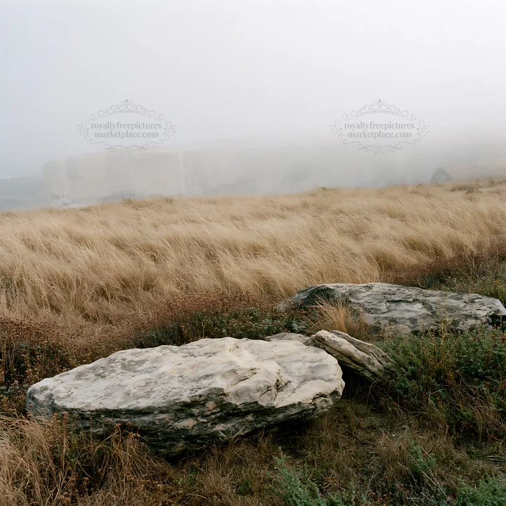 Drought-tolerant meadow with rocks and fog in the background - AI-generated stock image