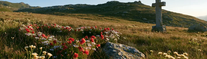 Christian cross in sunlit alpine meadow with wildflowers - AI-generated stock image