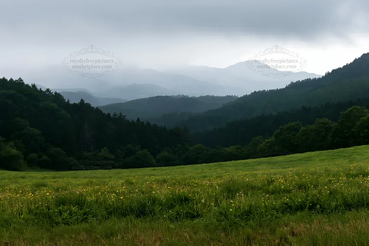 Shizuoka seasonal meadow after heavy rain - AI-generated stock image