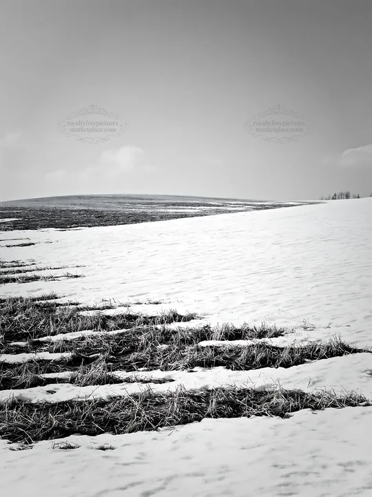 Snow covered hills in Biei, Japan during winter - AI-generated stock image