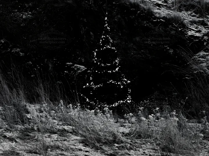 Christmas tree beside cave in meadow at night - AI-generated stock image
