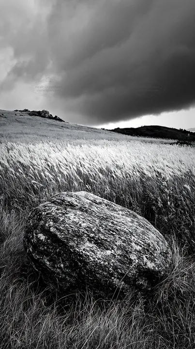 Black and white aomori climate resilient meadow with boulder under cloudy sky - AI-generated stock image