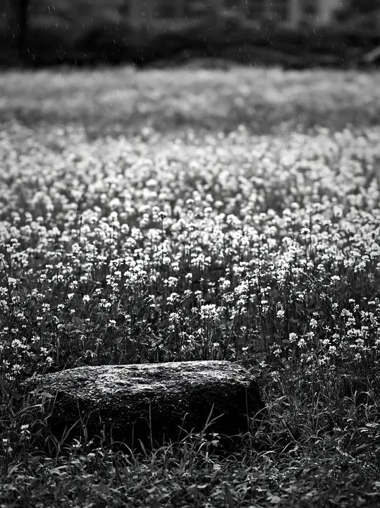 Hiroshima meadow with smooth rock in rainy weather - AI-generated stock image