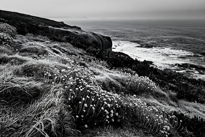 Frost-covered meadow near the ocean - AI-generated stock image