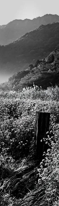 Black and white wakayama autumn meadow weathered wood foreground - AI-generated stock image