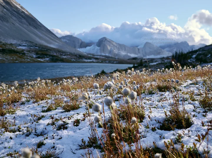 Lakeside meadow after first snowfall with mountain backdrop - AI-generated stock image