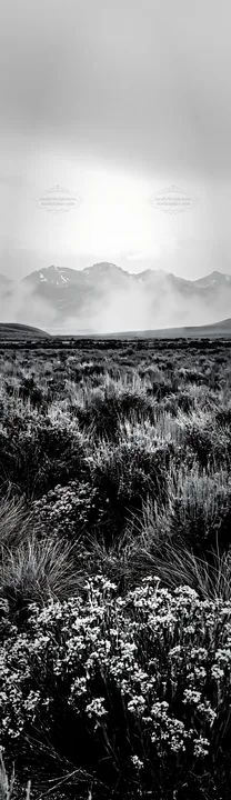 Black and white sagebrush meadow light with mountains in the background - AI-generated stock image