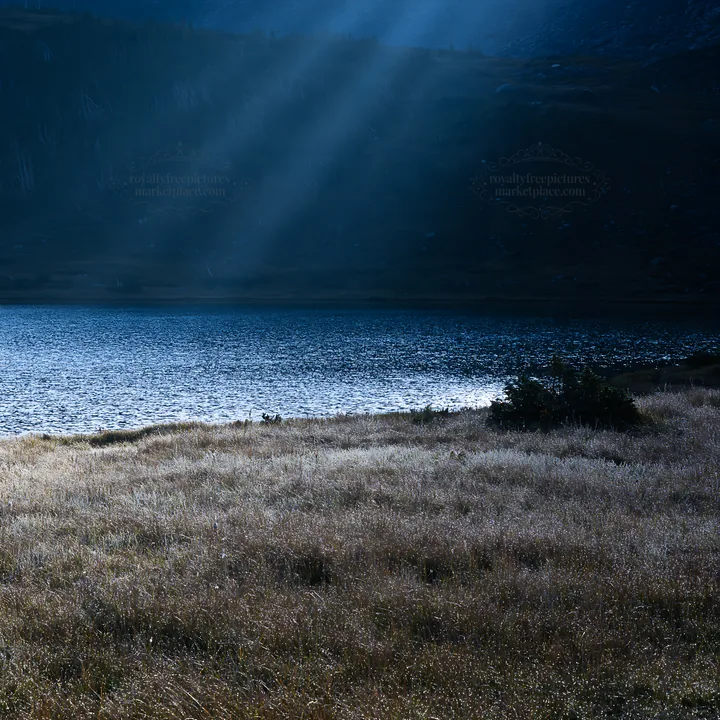 Sunshine meadows banff with light rays through the trees - AI-generated stock image