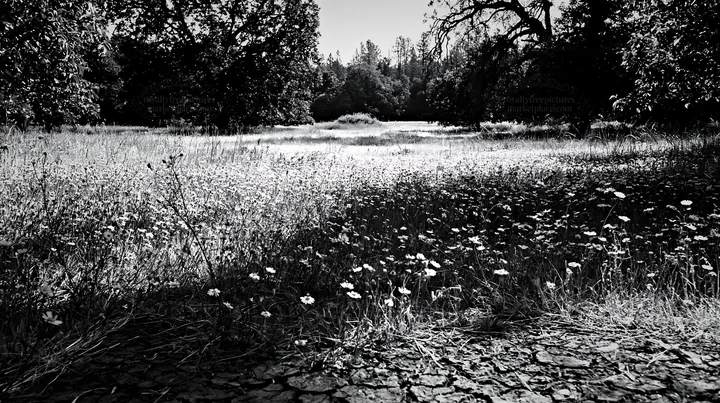 Highland apple meadow with wildflowers and trees - AI-generated stock image