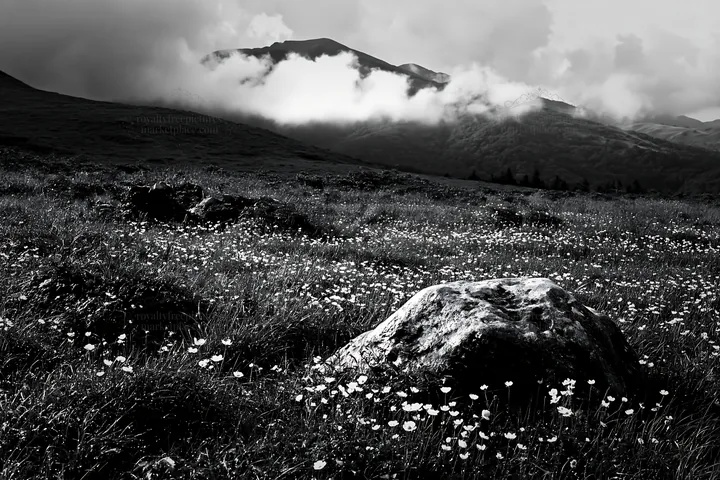 Yamaguchi limestone meadow with pale boulder and clouds - AI-generated stock image