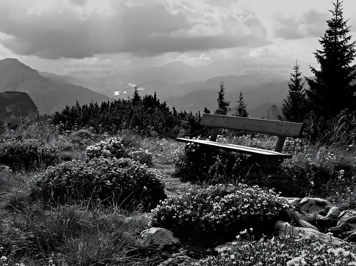 Sainfoin chicory meadow with bench and mountain view - AI-generated stock image