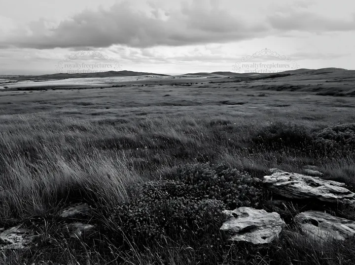 Cloudy dry limestone meadow with rocky outcrop and grass - AI-generated stock image