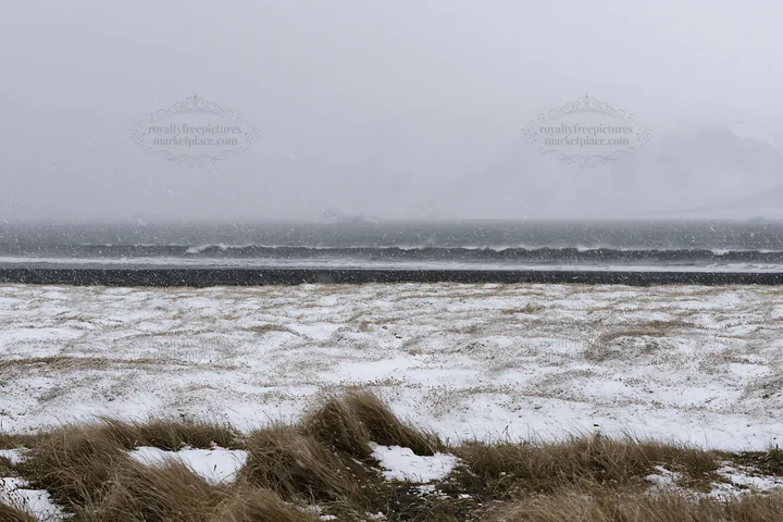 Snowy beach meadow with waves under cloudy sky - AI-generated stock image