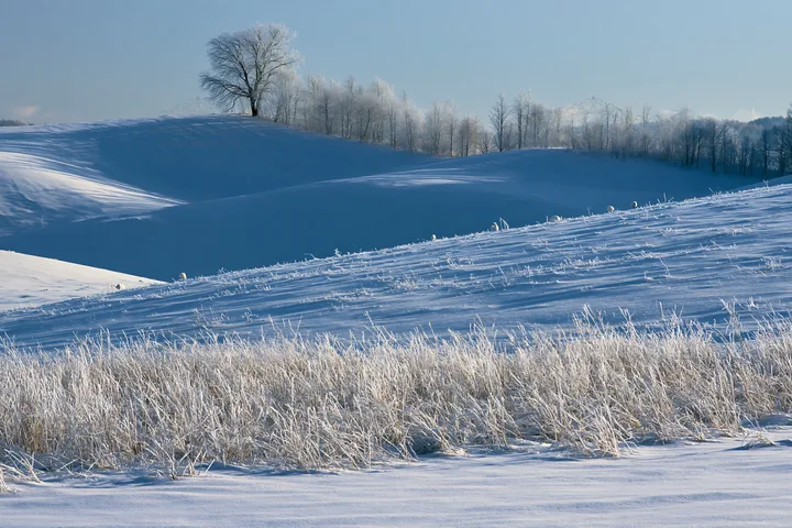 Snow covered Biei hills with frozen grass in the foreground - AI-generated stock image