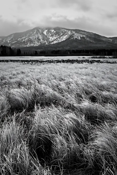 Akita meadow with silver grasses during snowmelt - AI-generated stock image