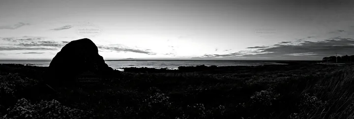Black and white aomori climate resilient meadow with boulder at sunset - AI-generated stock image