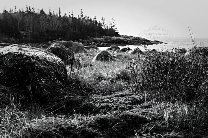 Mossy boulders in a meadow near the coast - AI-generated stock image