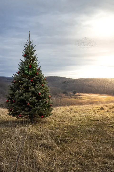 Vibrant Christmas tree in meadow under winter sunlight - AI-generated stock image