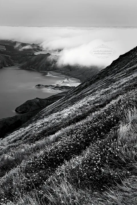 Black and white colorful clover meadow on a hillside near a lake - AI-generated stock image