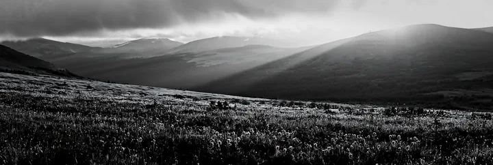 Black and white sunshine Meadows Banff light rays illuminate a flower-filled field - AI-generated stock image