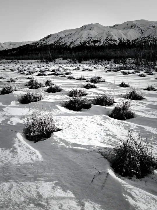 Snowmelt meadow with snow-covered ground and distant mountains - AI-generated stock image
