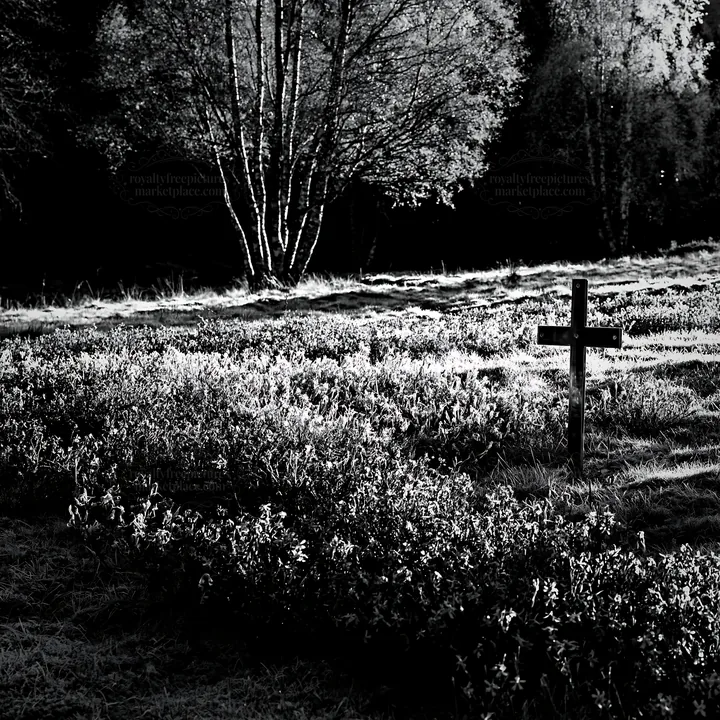 Christian cross on frost covered meadow in winter light - AI-generated stock image