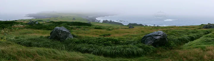 Aomori climate resilient meadow with boulder - AI-generated stock image
