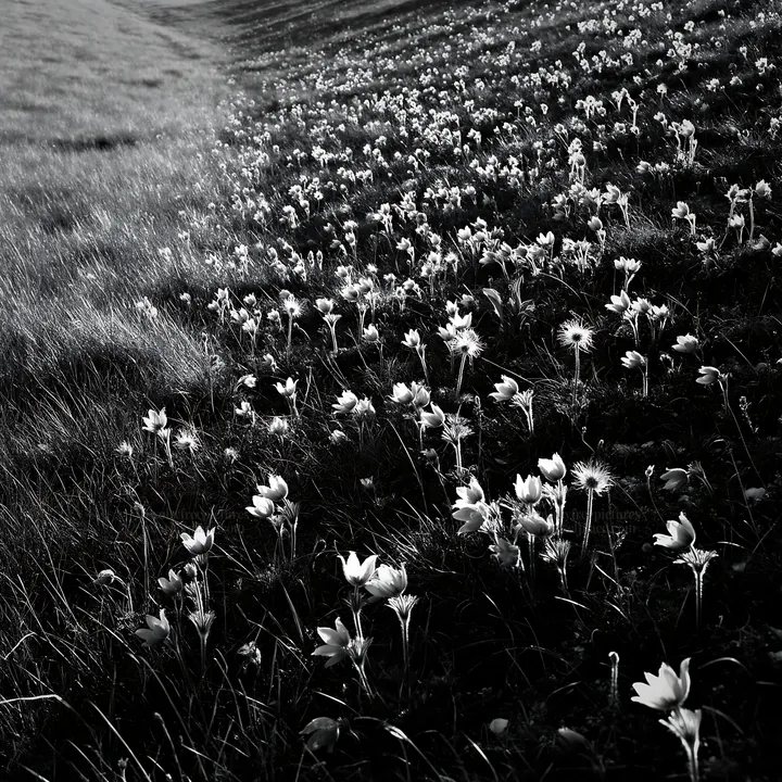Chalk meadow with flowers and copy space on a sunny day - AI-generated stock image