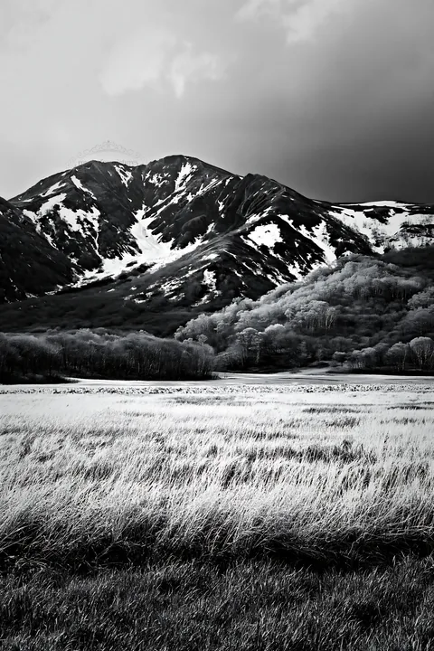 Akita snowmelt meadow with silver grasses and mountains - AI-generated stock image