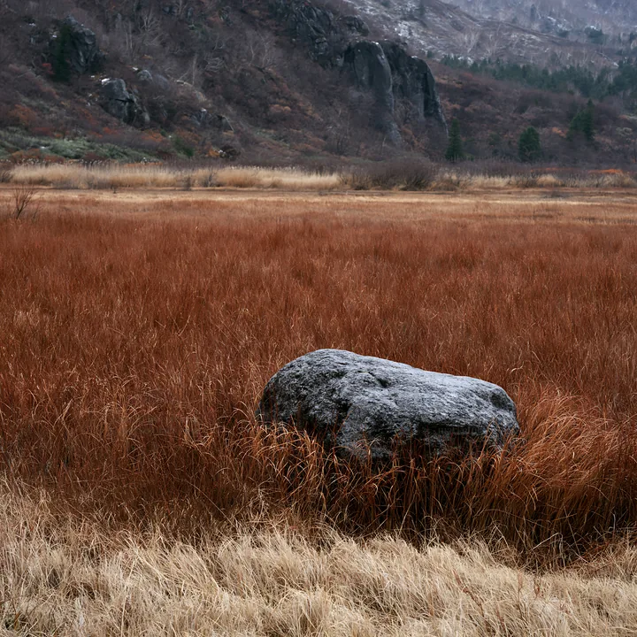 Nagano drought resilient meadow with granite boulder - AI-generated stock image