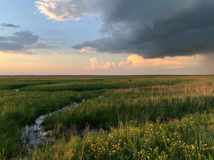 Rainwashed meadow with grassy fields and clouded sky - AI-generated stock image