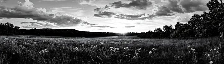 Apple meadow at sunset - AI-generated stock image