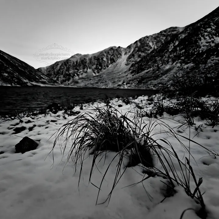 Lakeside meadow covered with snow in early winter - AI-generated stock image