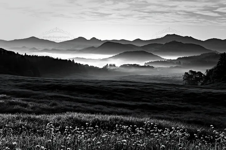 Miyazaki sunrise over meadow with dew covered sedges - AI-generated stock image