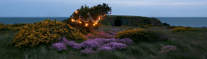 Christmas lights beside cave in meadow near the sea - AI-generated stock image