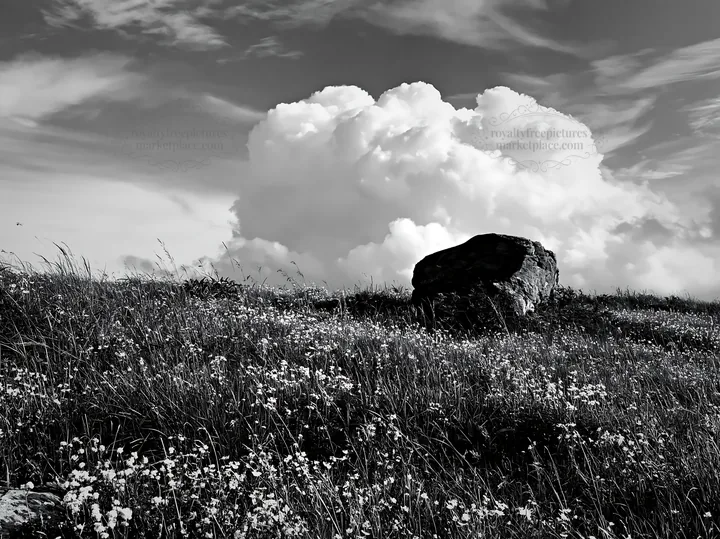 Black and white aomori climate resilient meadow with boulder under blue sky - AI-generated stock image