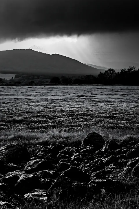 Black and white kumamoto volcanic meadow dark rock foreground with green field - AI-generated stock image