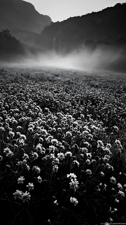 Wildflower meadow with waterfall mist in the distance - AI-generated stock image