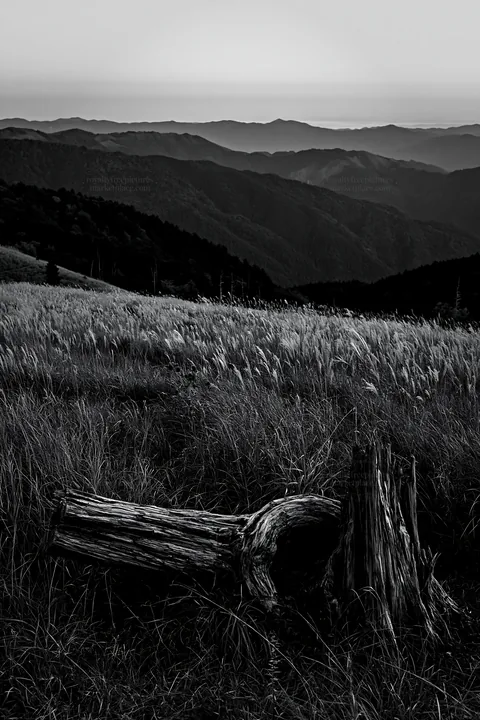 Black and white wakayama autumn meadow weathered wood foreground - AI-generated stock image